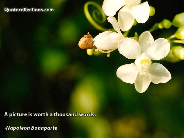 Napoleon Bonaparte Quotes4